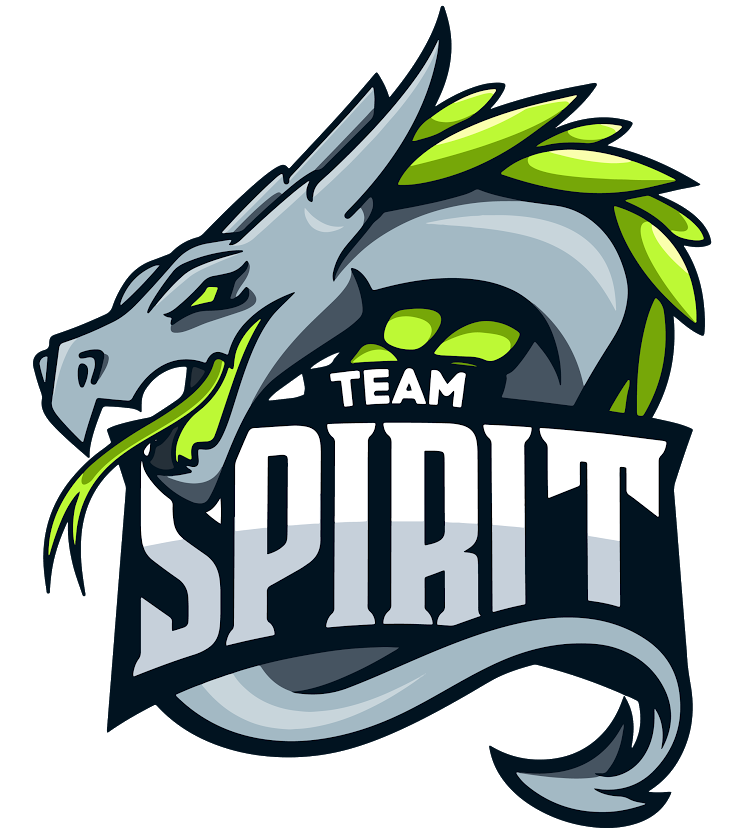 Team Spirit logo
